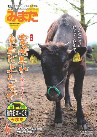 広報みまた2013年6月号