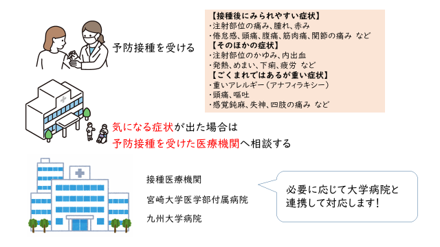 HPV副反応発症時の医療体制-1.jpg (95 KB)