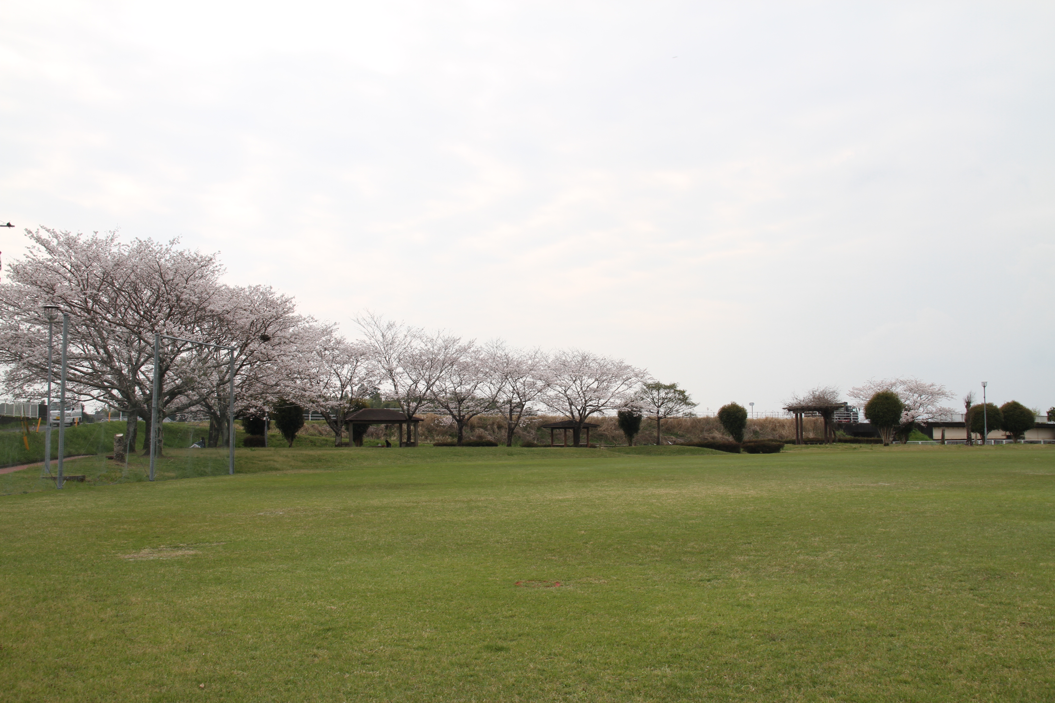 一町田公園.JPG (2.97 MB)