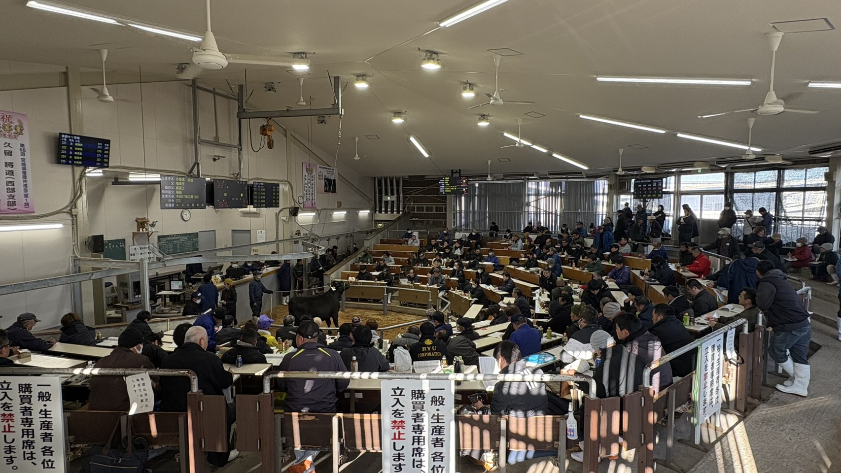 畜産振興係_優良家畜導入事業①.jpg (434 KB)