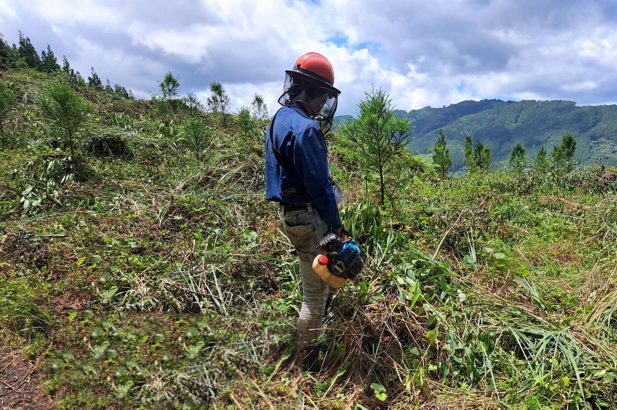 農林整備係_下払助成事業_s.jpg (455 KB)