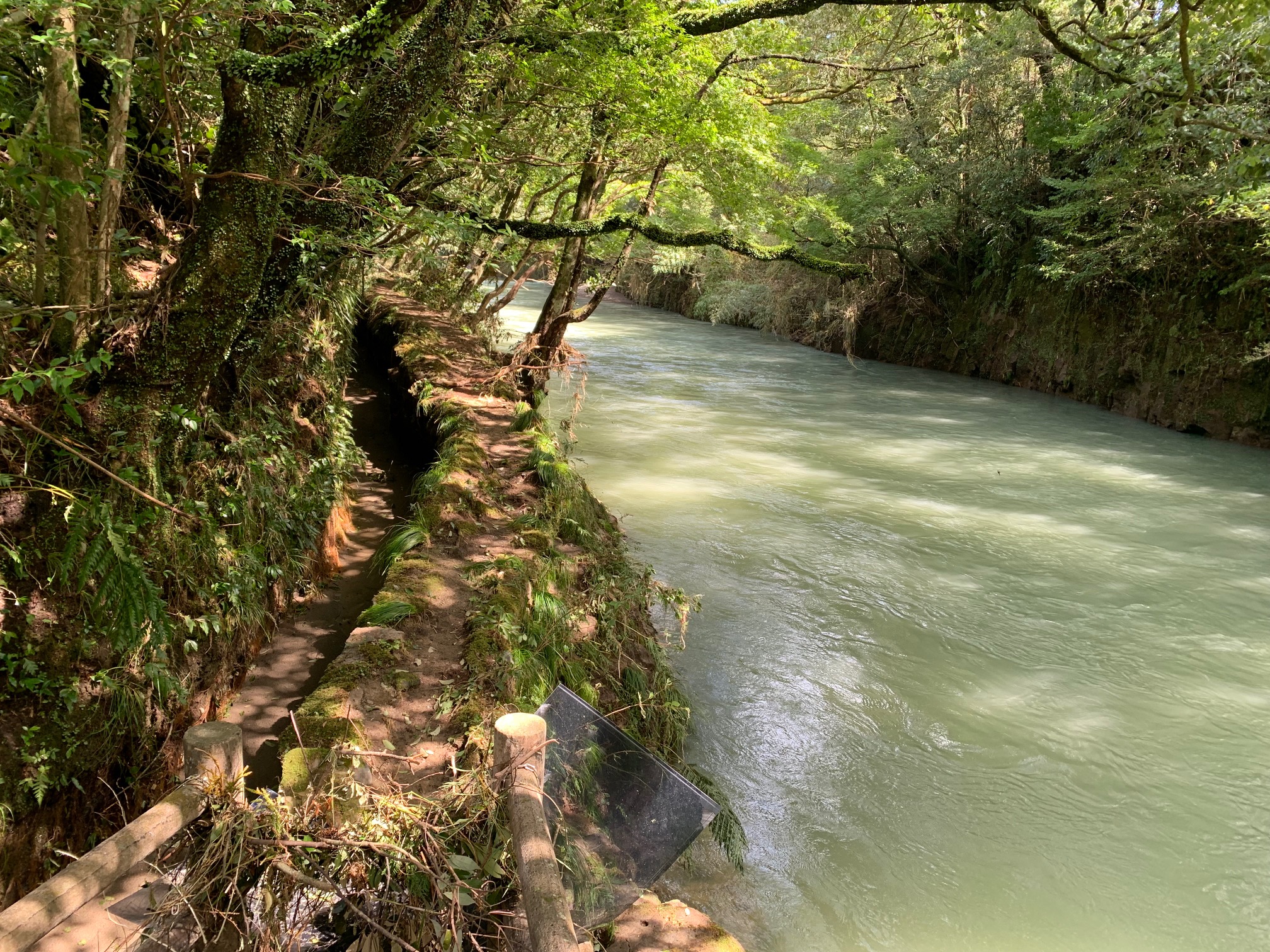 長田峡_用水路_20220920.jpg (1.38 MB)